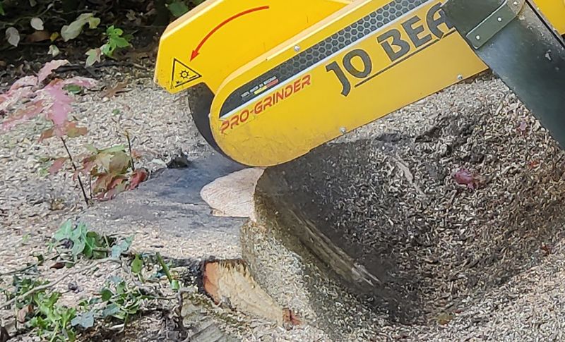 Safety during stump removal