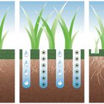 Why aerate the lawn? - News - Blog 3