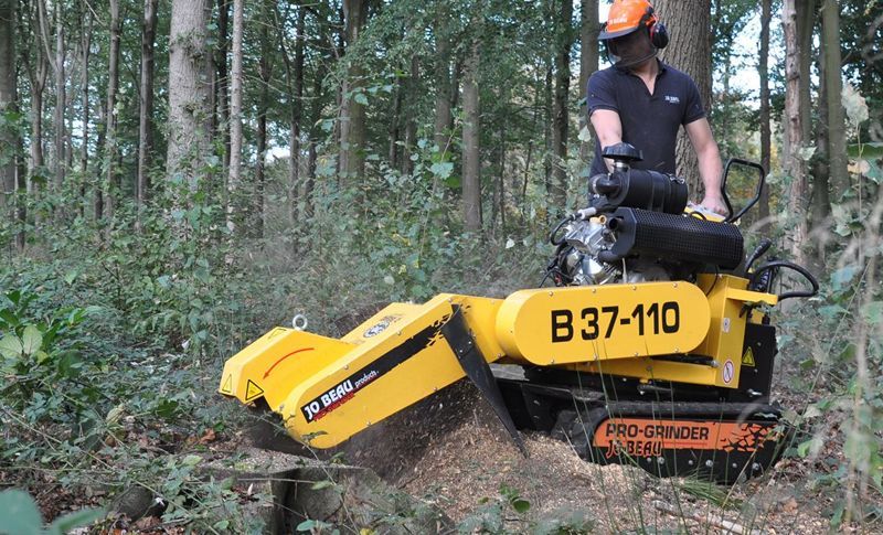 Buy or rent a stump grinder? We'll get you started ...