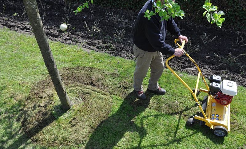 Why scarify my lawn?