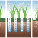Pourquoi aérer votre pelouse ? - Actualités - Blog 3