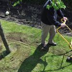 Why scarify my lawn? - News - Blog 1