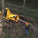 Le Jo Beau M600 Gorilla™ : Puissance compacte ! - Blog 3