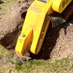 ​Tuinonderhoud per seizoen: zo houd je je tuin het hele jaar in topvorm - Blog 2