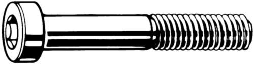 bolt