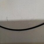 conduitr nr18